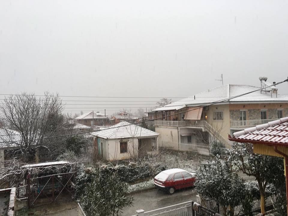 Φάρσαλα