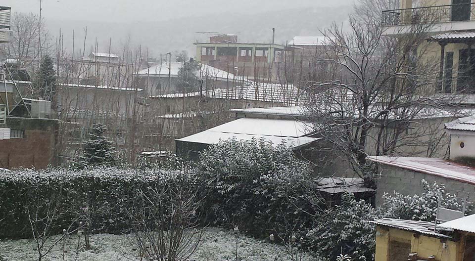 Φάρσαλα
