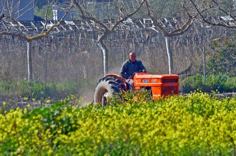 Μέχρι τις 15 Ιουνίου οι αιτήσεις ενίσχυσης αγροτών για το 2018 Μέχρι τις 15 Ιουνίου οι αιτήσεις ενίσχυσης αγροτών για το 2018