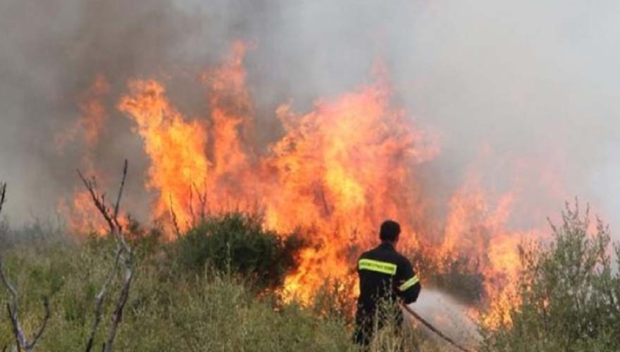 Νέα φωτιά έξω από τη Λάρισα – 9 οχήματα της Πυροσβεστικής στο σημείο Νέα φωτιά έξω από τη Λάρισα – 9 οχήματα της Πυροσβεστικής στο σημείο