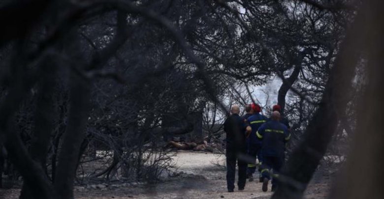 Ιδιοκτήτης οικοπέδου : Άκουγα τα ουρλιαχτά τους Ιδιοκτήτης οικοπέδου : Άκουγα τα ουρλιαχτά τους