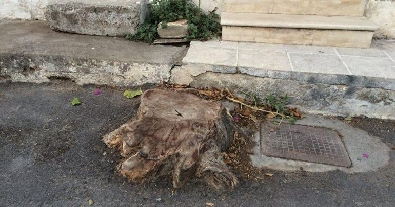 Κρήτη: Παγίδα για τους διερχόμενους οι κομμένοι κορμοί Κρήτη: Παγίδα για τους διερχόμενους οι κομμένοι κορμοί