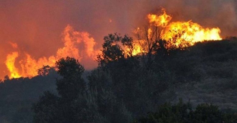 Μεγάλη φωτιά στη Λεμεσό - Έκλεισαν δρόμοι Μεγάλη φωτιά στη Λεμεσό - Έκλεισαν δρόμοι