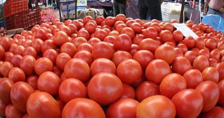 Κατασχέθηκε 1 τόνος ντομάτας με υπολείμματα φυτοφαρμάκων Κατασχέθηκε 1 τόνος ντομάτας με υπολείμματα φυτοφαρμάκων