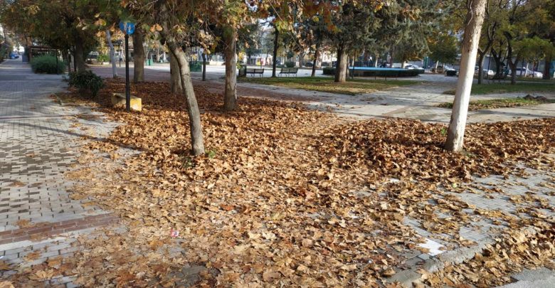 Πανέμορφη πλατεία στη Λάρισα παρατημένη στο έλεος του Θεού… (φωτο) Πανέμορφη πλατεία στη Λάρισα παρατημένη στο έλεος του Θεού… (φωτο)