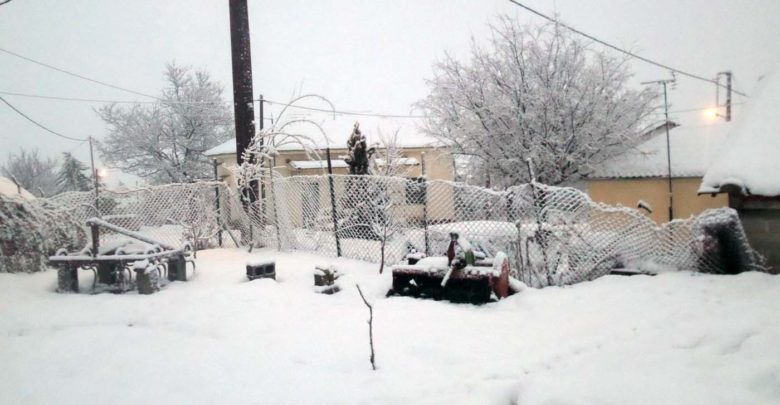 Χιονίζει και πάλι στα Φάρσαλα! - Δείτε φωτογραφίες Χιονίζει και πάλι στα Φάρσαλα! - Δείτε φωτογραφίες