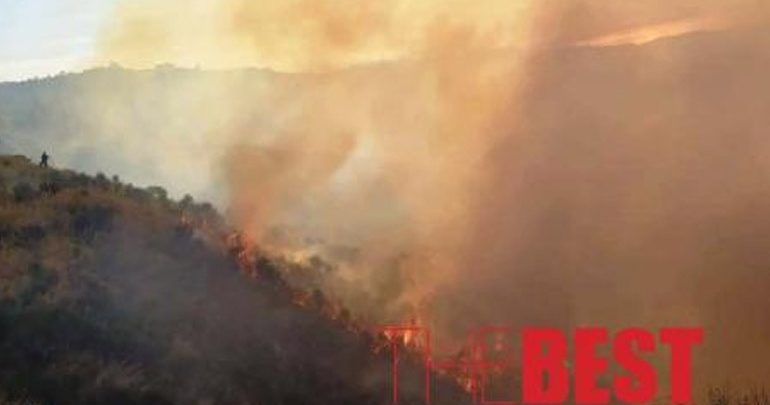 Πάτρα: Τραυματίες δύο πυροσβέστες που έδιναν «μάχη» με τις φλόγες στα Συχαινά Πάτρα: Τραυματίες δύο πυροσβέστες που έδιναν «μάχη» με τις φλόγες στα Συχαινά