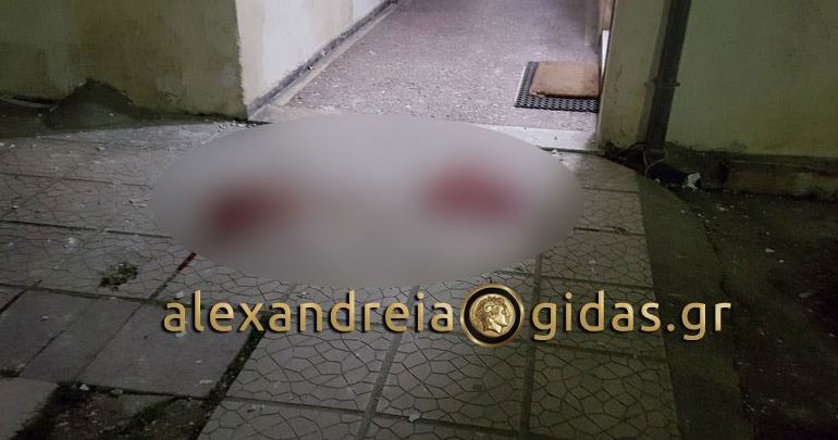 Αλεξάνδρεια: Ηλικιωμένος έπεσε στο κενό - Προσπάθησε να μπει στο σπίτι του από το μπαλκόνι Αλεξάνδρεια: Ηλικιωμένος έπεσε στο κενό - Προσπάθησε να μπει στο σπίτι του από το μπαλκόνι