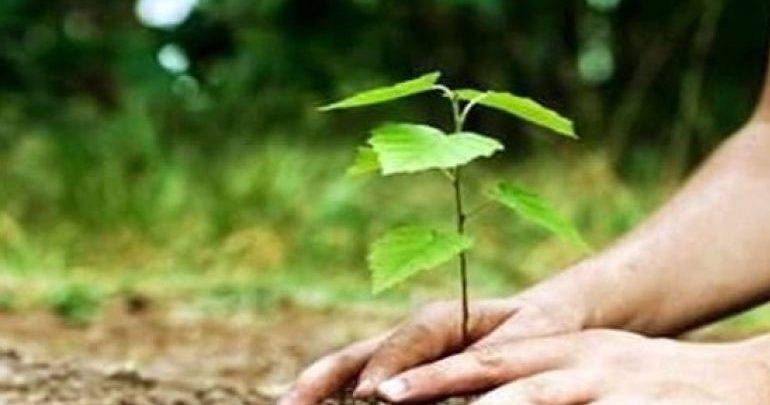 Δήμος Πυλαίας-Χορτιάτη: Δενδροφύτευση για τα 100 χρόνια από τη γενοκτονία των Ποντίων Δήμος Πυλαίας-Χορτιάτη: Δενδροφύτευση για τα 100 χρόνια από τη γενοκτονία των Ποντίων