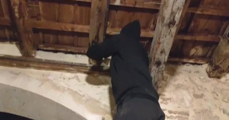 Στη φυλακή τα δύο αδέρφια που έκρυβαν ναρκωτικά στη στέγη του σπιτιού τους Στη φυλακή τα δύο αδέρφια που έκρυβαν ναρκωτικά στη στέγη του σπιτιού τους