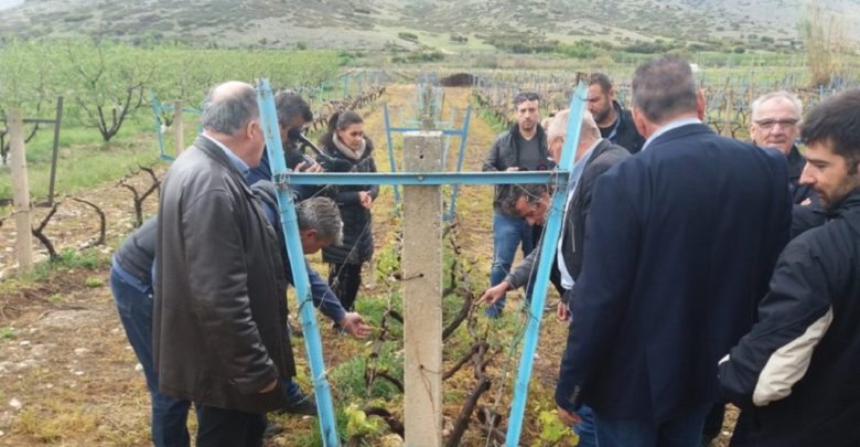 Στις χαλαζόπληκτες περιοχές του Τυρνάβου κλιμάκια του ΕΛΓΑ (φωτό) Στις χαλαζόπληκτες περιοχές του Τυρνάβου κλιμάκια του ΕΛΓΑ (φωτό)