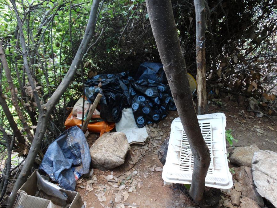 Θα αποκόμιζε πάνω από 1εκ. ευρώ η σπείρα με την μεγαλύτερη χασισοφυτεία που υπήρξε στη Λάρισα (φωτο)
