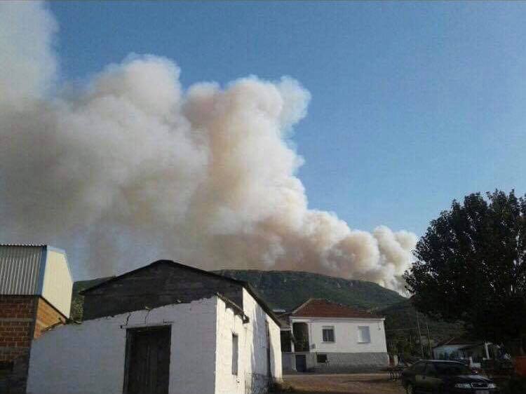 Καίγεται δασική έκταση με χαμηλή βλάστηση στα Φάρσαλα (φωτο)