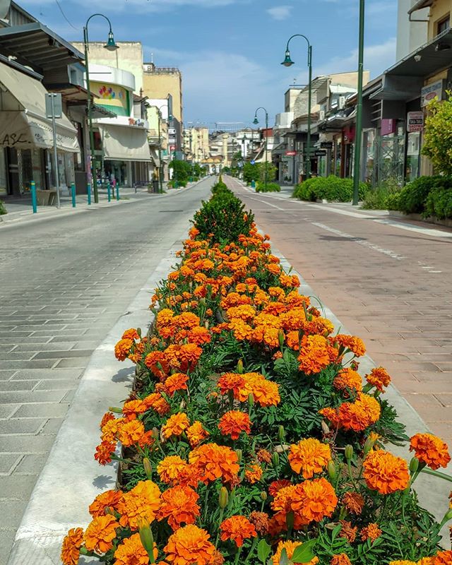 Όταν η Λάρισα μαγεύει στο instagram - Η άλλη όψη της πόλης μέσα από μοναδικές φωτογραφίες