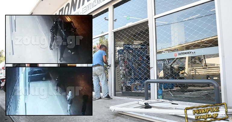 Χρονολόγηση κακοποιός ζωή