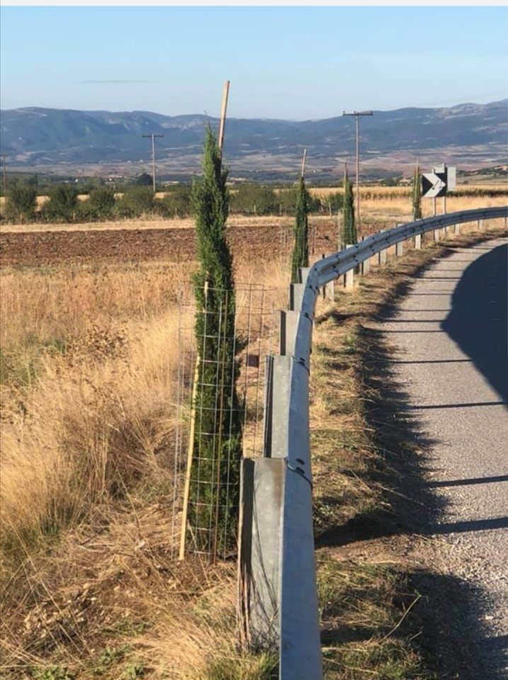 Οι Πυθιώτες του Καναδά γύρισαν στον τόπο τους και πραγματοποίησαν δεντροφύτευση στη μνήμη των συγγενών τους