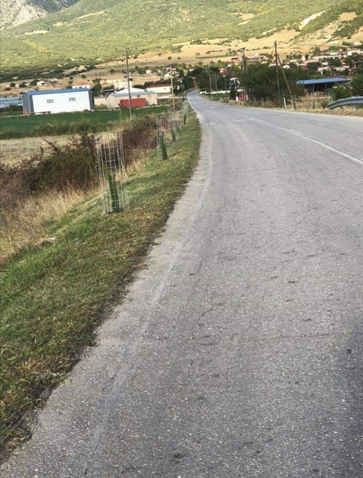 Οι Πυθιώτες του Καναδά γύρισαν στον τόπο τους και πραγματοποίησαν δεντροφύτευση στη μνήμη των συγγενών τους