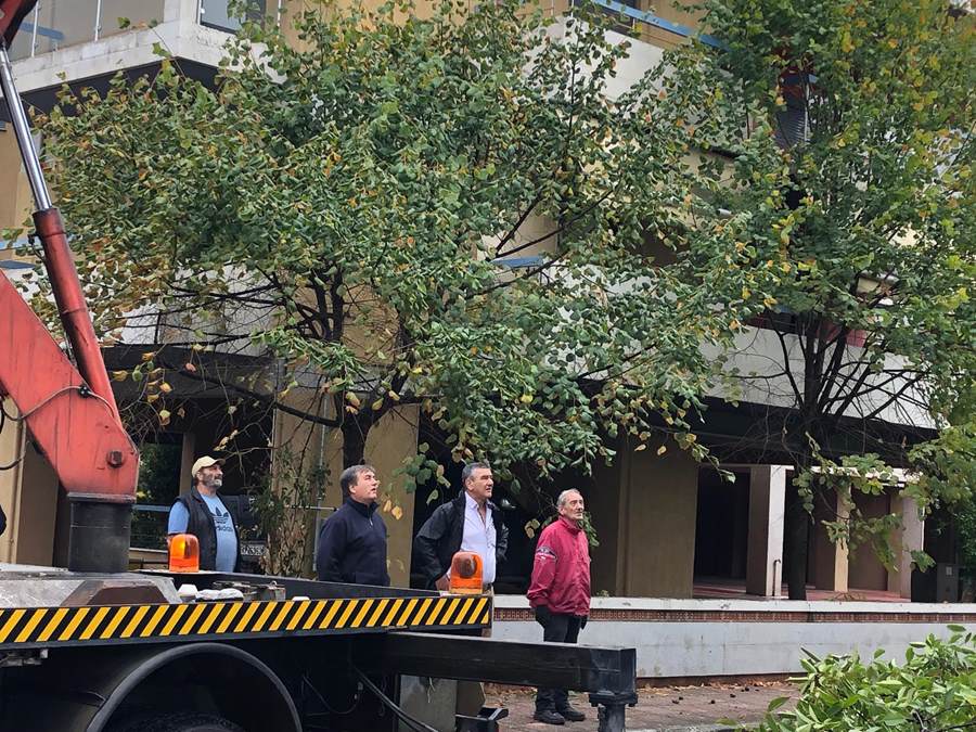 Η κακοκαιρία έριξε 25 δέντρα μέσα στην Λάρισα (φωτο)