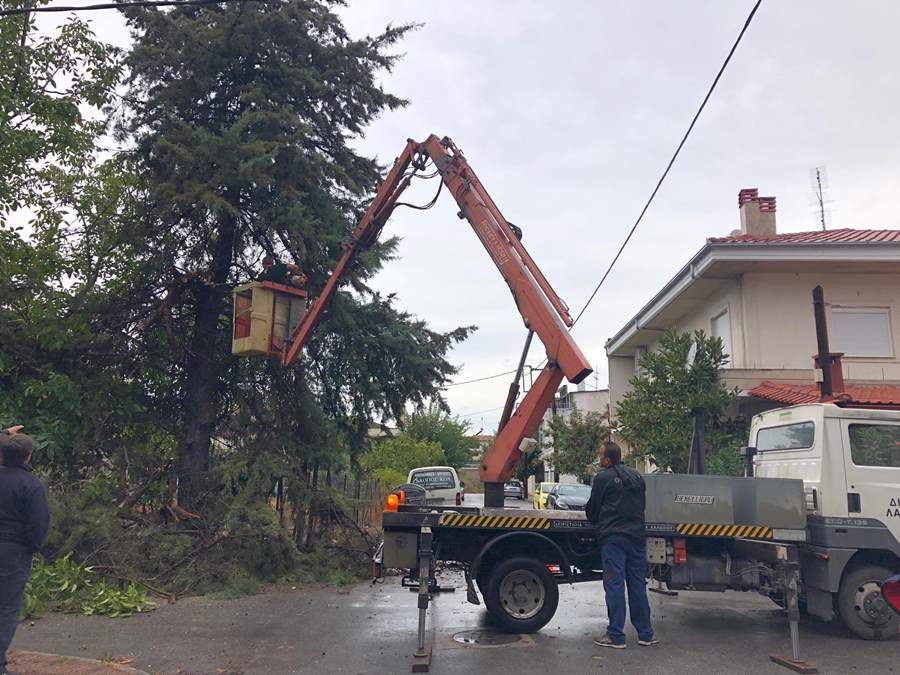 Η κακοκαιρία έριξε 25 δέντρα μέσα στην Λάρισα (φωτο)