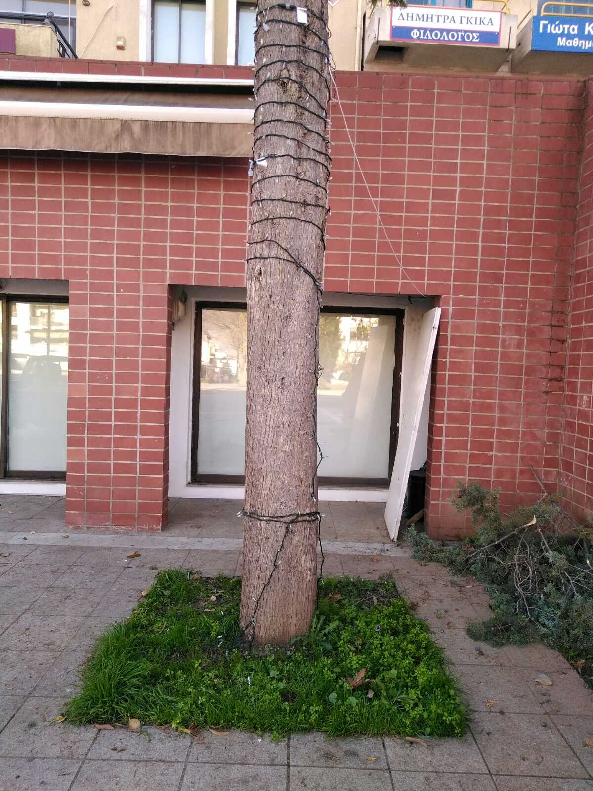 Άγνωστοι βανδάλισαν τον Χριστουγεννιάτικο διάκοσμο των Φαρσάλων (φωτό)