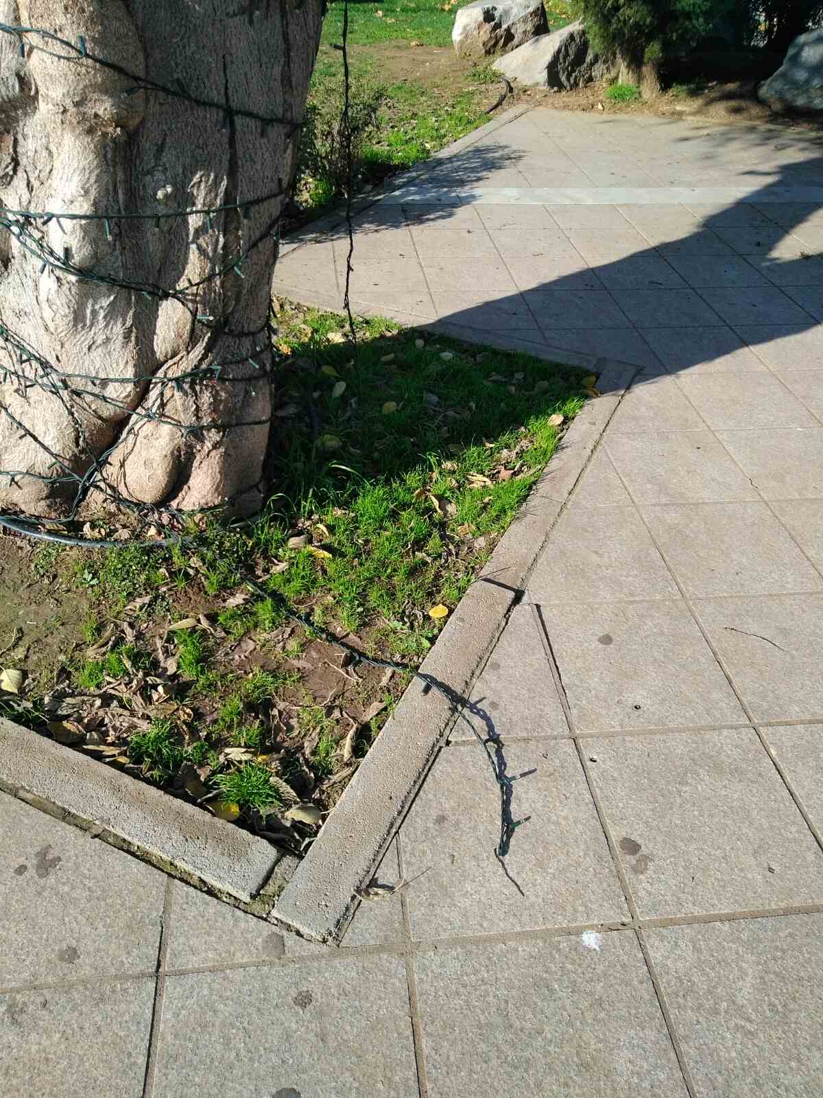 Άγνωστοι βανδάλισαν τον Χριστουγεννιάτικο διάκοσμο των Φαρσάλων (φωτό)