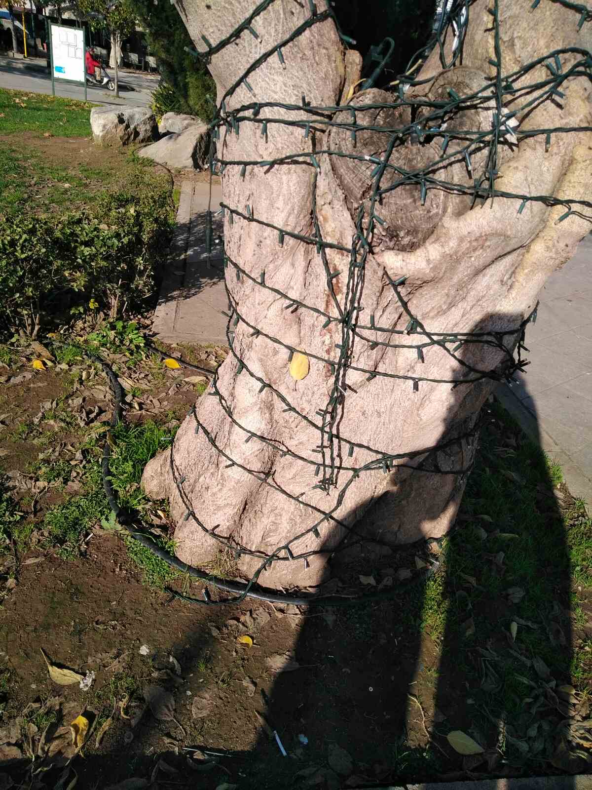 Άγνωστοι βανδάλισαν τον Χριστουγεννιάτικο διάκοσμο των Φαρσάλων (φωτό)