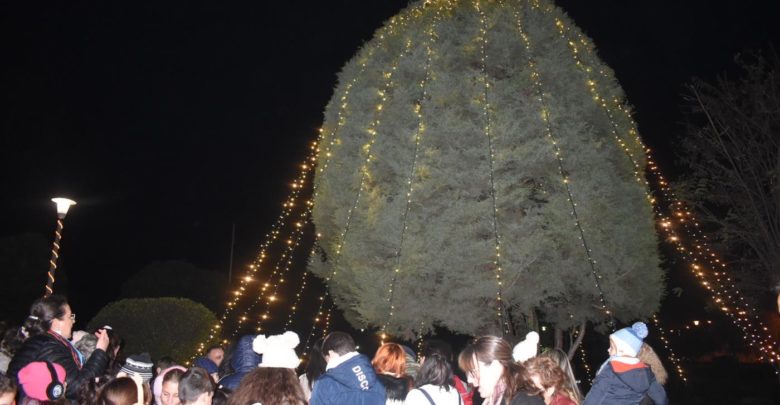Πλήθος Λαρισαίων στην φωταγώγηση του Χριστουγεννιάτικου δέντρου της 1η Στρατιάς (φωτό - video) Πλήθος Λαρισαίων στην φωταγώγηση του Χριστουγεννιάτικου δέντρου της 1η Στρατιάς (φωτό - video)
