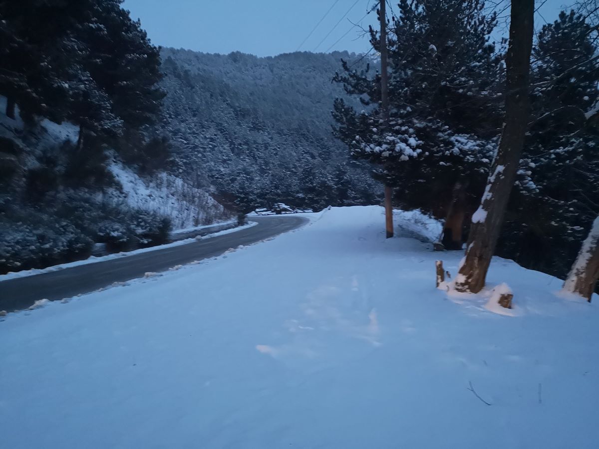 Σε αλπικό τοπίο ξύπνησαν στο Λιβάδι Ελασσόνας - Δεν προλαβαίνουν να ρίξουν αλάτι και αμέσως το στρώνει (βίντεο – φωτο)