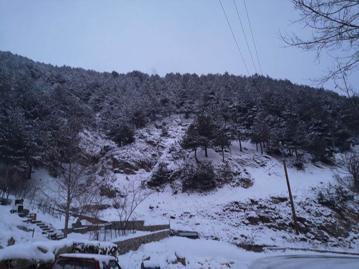 Σε αλπικό τοπίο ξύπνησαν στο Λιβάδι Ελασσόνας - Δεν προλαβαίνουν να ρίξουν αλάτι και αμέσως το στρώνει (βίντεο – φωτο)