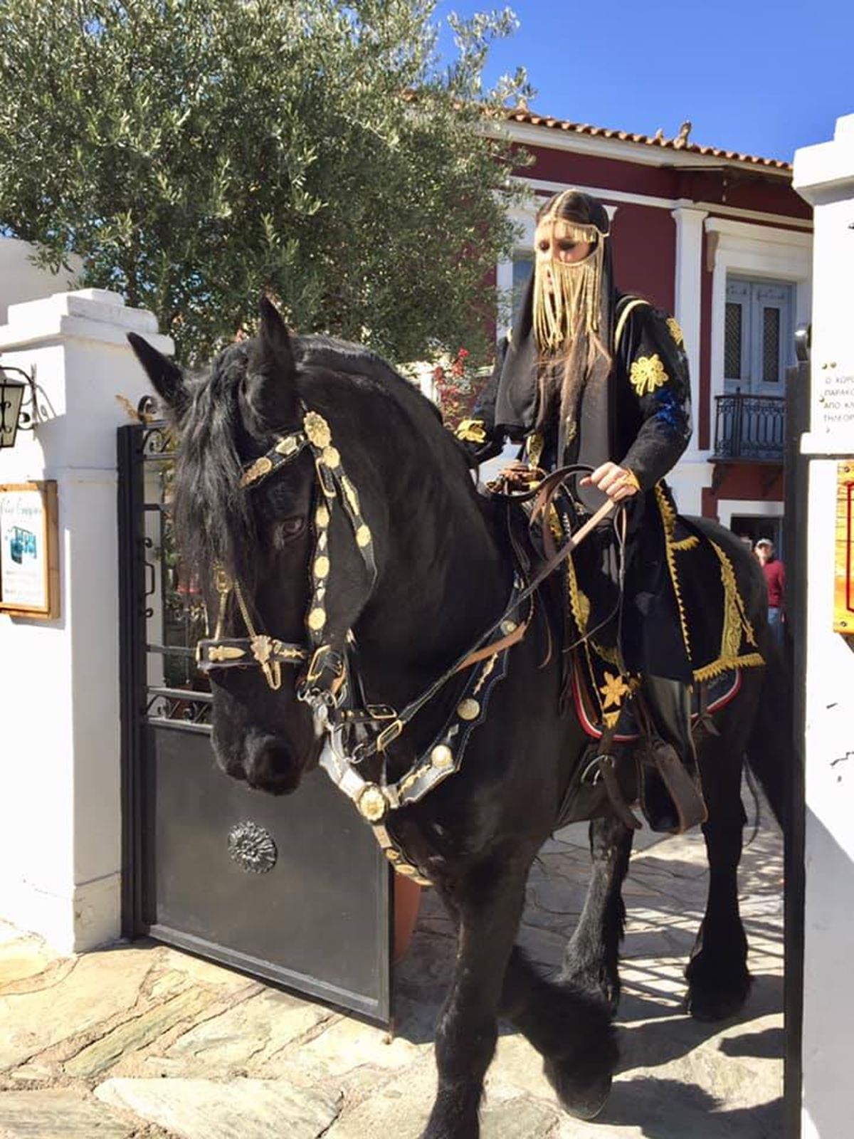 Αυτή είναι η γοητευτική… αμαζόνα που έκλεψε την παράσταση στο φετινό τυρναβίτικο καρναβάλι (φωτο)