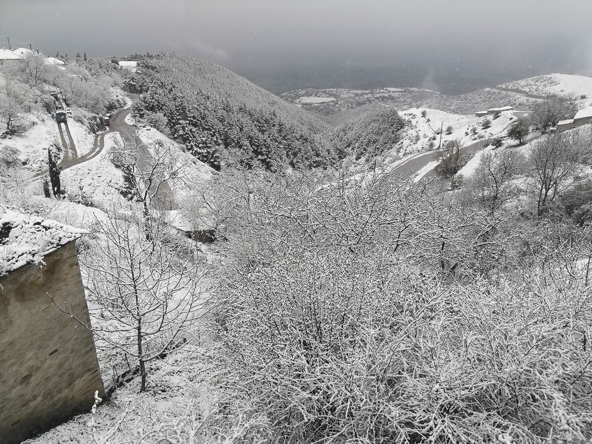 Το έστρωσε... ανοιξιάτικα στο Λιβάδι - Σε χιονισμένο τοπίο ξημέρωσαν τα ορεινά της Ελασσόνας (φωτο)