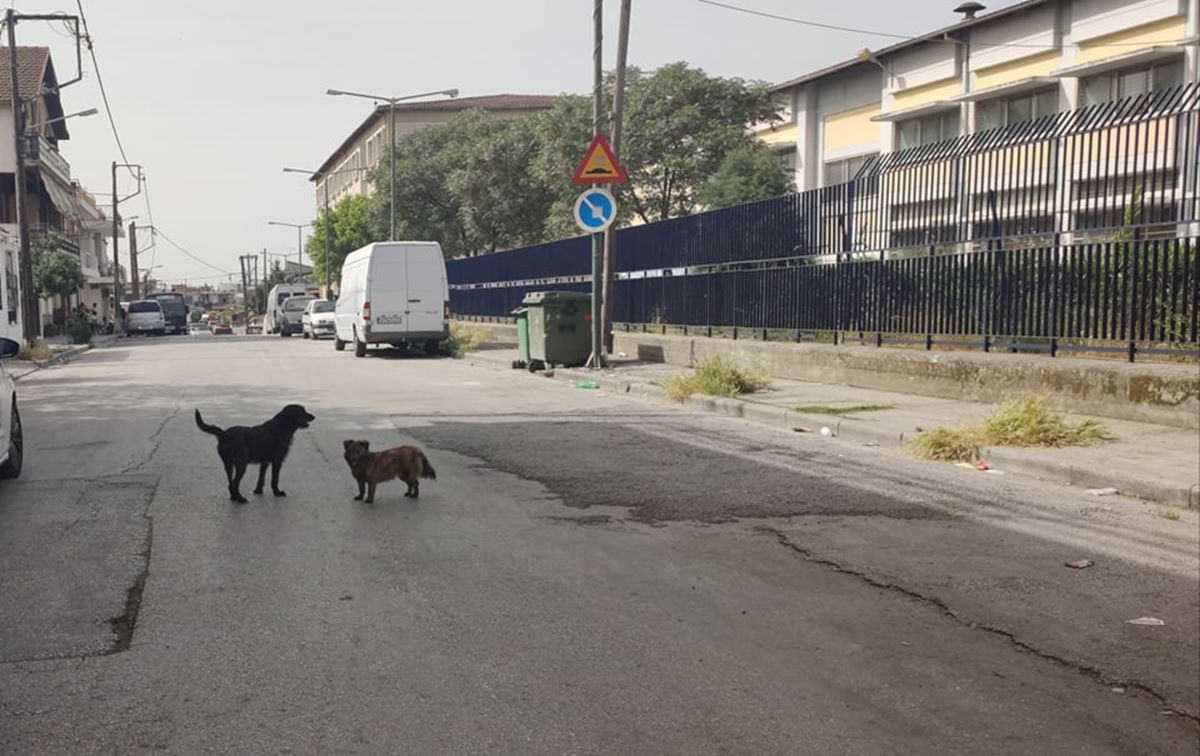 Δείτε φωτογραφίες: Αυτή είναι η εικόνα σήμερα στη Νέα Σμύρνη - Θα επιχειρήσουν να μεταφέρουν και τους υπόλοιπους στην Αρωγή