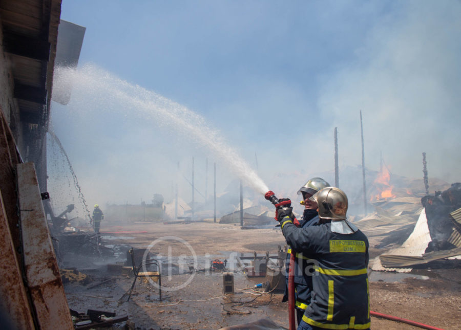 Κάηκαν 400 πρόβατα σε πυρκαγιά σε κτηνοτροφική μονάδα έξω από τα Φάρσαλα! (φωτό)