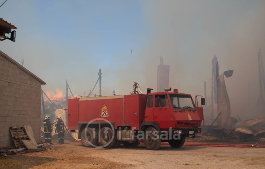 Κάηκαν 400 πρόβατα σε πυρκαγιά σε κτηνοτροφική μονάδα έξω από τα Φάρσαλα! (φωτό)