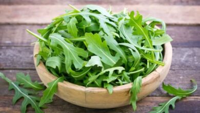 Τα γονίδιά μας καθορίζουν αν μας αρέσει η γεύση ορισμένων φυτών