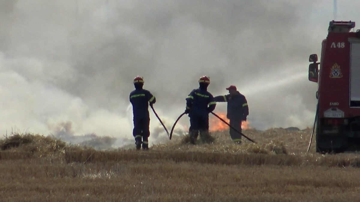 Λάρισα: Ξέσπασε πυρκαγιά κοντά στην Περιφερειακή Τρικάλων - Στο σημείο η Πυροσβεστική (φωτο)