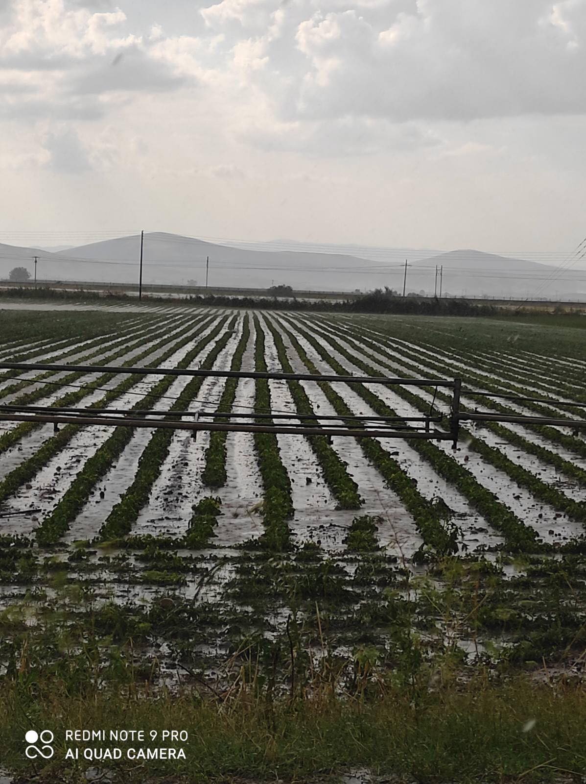 Λάρισα: Τεράστια καταστροφή από συνεχόμενες χαλαζοπτώσεις στον Κραννώνα - Ζημιές σε τουλάχιστον 2.000 στρέμματα (φωτό - βίντεο)