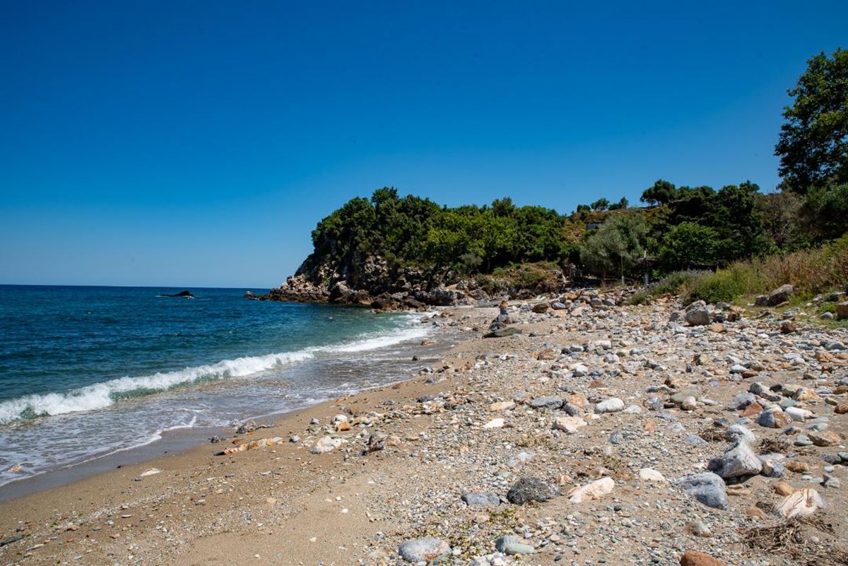 Λάρισα: Η μικρή «μυστική» παραλία άγριας ομορφιάς με τον «θαλασσόλυκο» που κρατάει «Θερμοπύλες» - Φωτορεπορτάζ