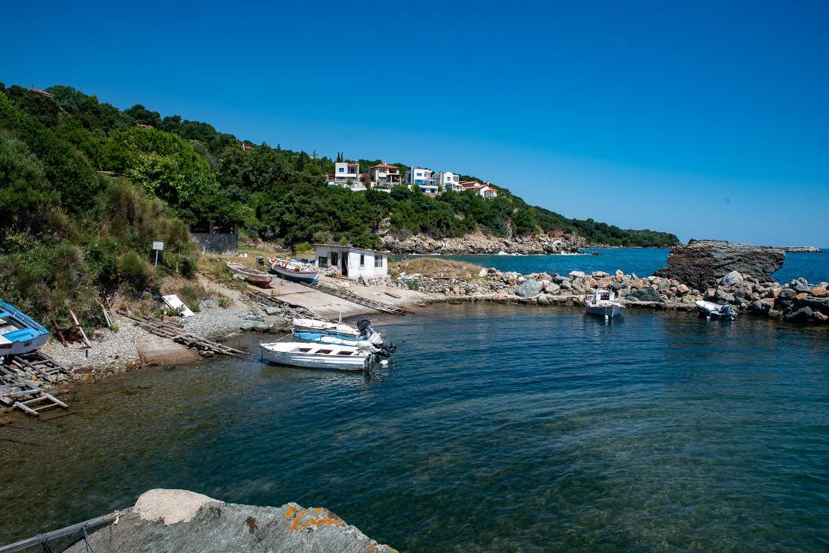 Λάρισα: Το μικρό γραφικό λιμανάκι στο Πολυδένδρι σαν καρτ ποστάλ – Φωτορεπορτάζ