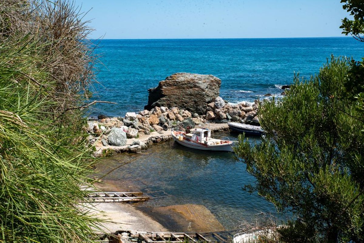 Λάρισα: Το μικρό γραφικό λιμανάκι στο Πολυδένδρι σαν καρτ ποστάλ – Φωτορεπορτάζ