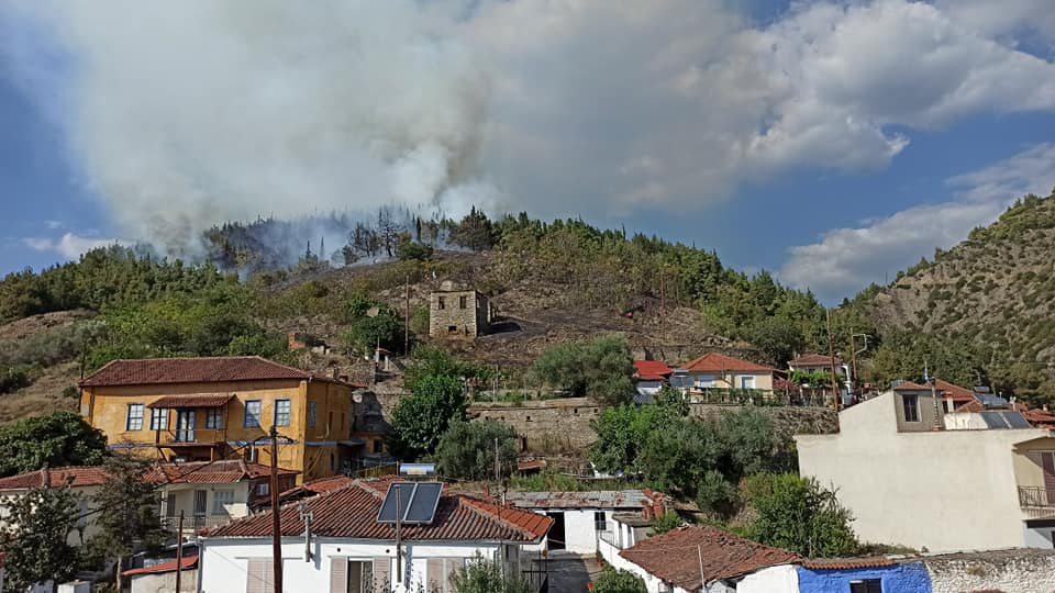 Συναγερμός στην Τσαριτσάνη: Φωτιά σε δασική έκταση κοντά στο χωριό - Δείτε φωτογραφίες