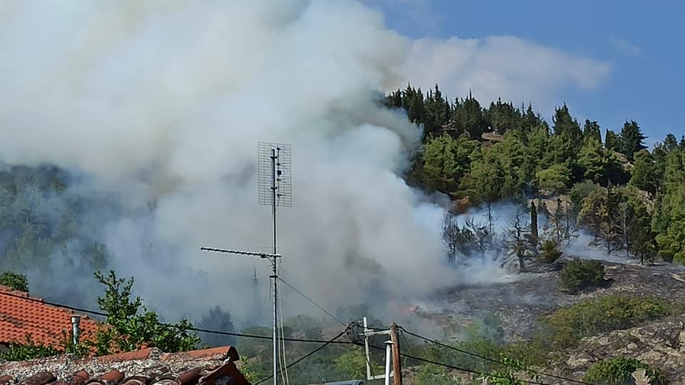 Συναγερμός στην Τσαριτσάνη: Φωτιά σε δασική έκταση κοντά στο χωριό - Δείτε φωτογραφίες