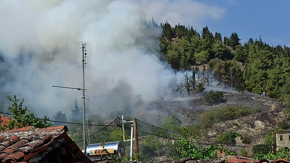 Συναγερμός στην Τσαριτσάνη: Φωτιά σε δασική έκταση κοντά στο χωριό - Δείτε φωτογραφίες
