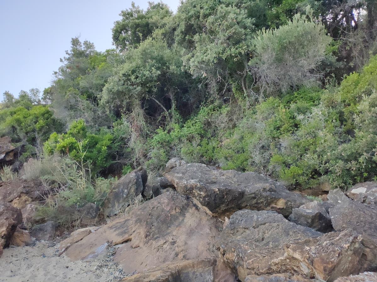 Δείτε φωτορεπορτάζ: Ο ειδυλλιακός Ρακοπόταμος στον Αγιόκαμπο με τις «νησίδες» παραλιών και τα πεντακάθαρα νερά