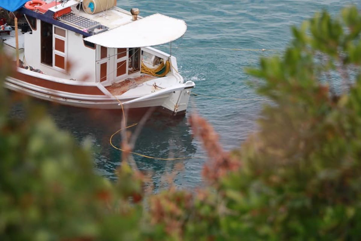 Καΐκι μαζεύει σφουγγάρια στα 15 μέτρα από την ακτή σε Κουτσουπιά και Παλιουριά (φωτο)