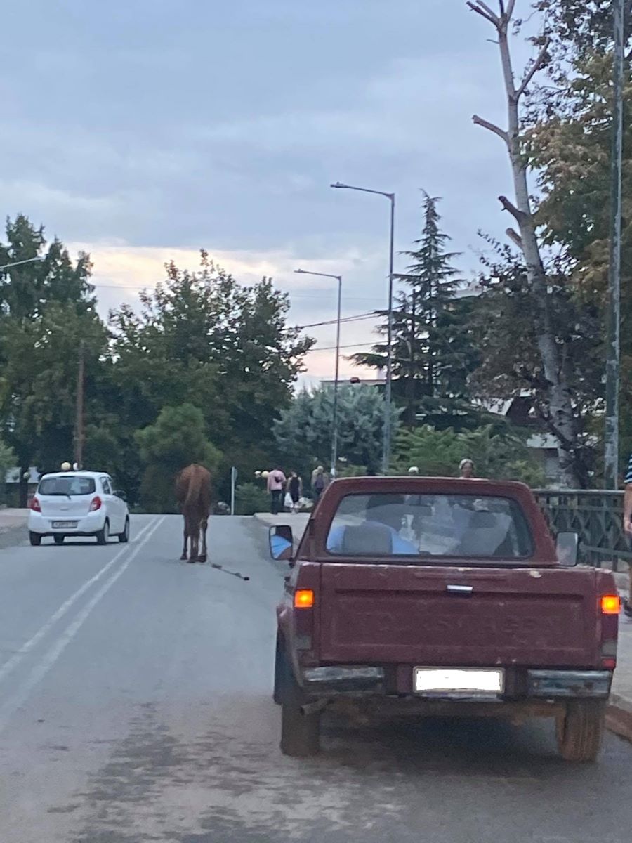 άλογο