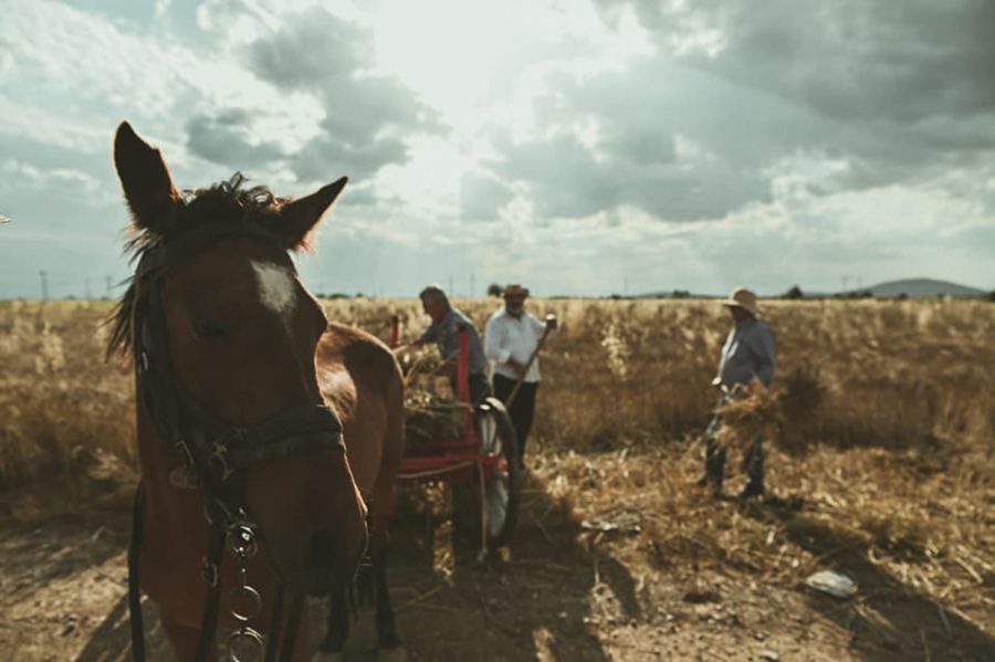 202068479 2772520353039318 7325767185931354446 n vasili farsala | Lamianow.gr