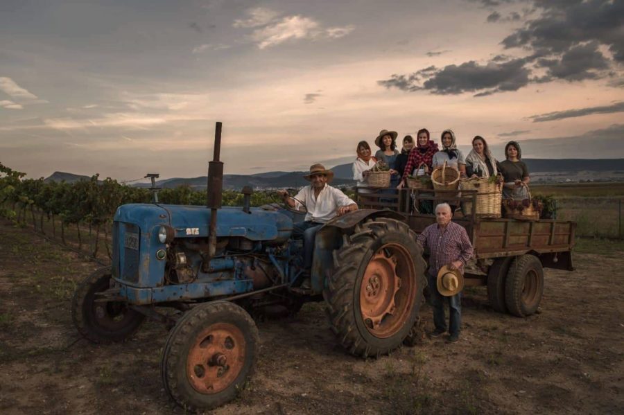 241978705 1175618726280654 1750752141100825089 n vasili farsala | Lamianow.gr