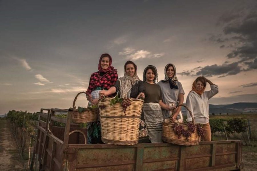 242017851 1175618566280670 7464688219614310792 n vasili farsala | Lamianow.gr