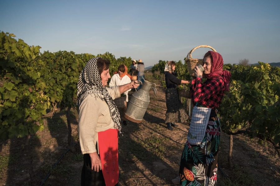 242081155 1175618992947294 1795961067641426363 n vasili farsala | Lamianow.gr